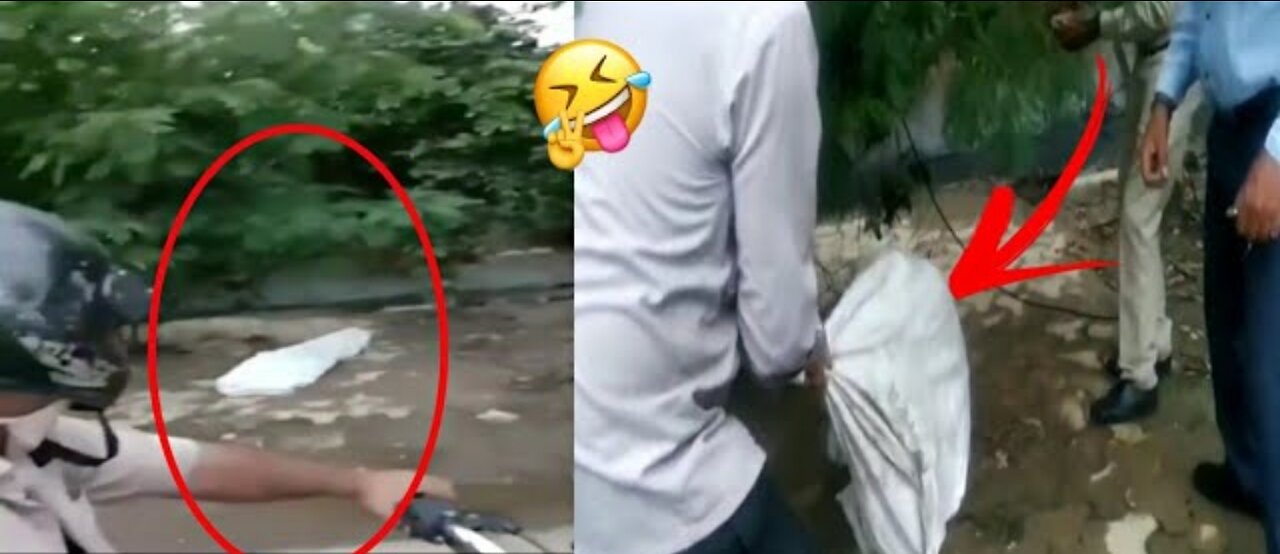 Try not to laugh| funniest viral video