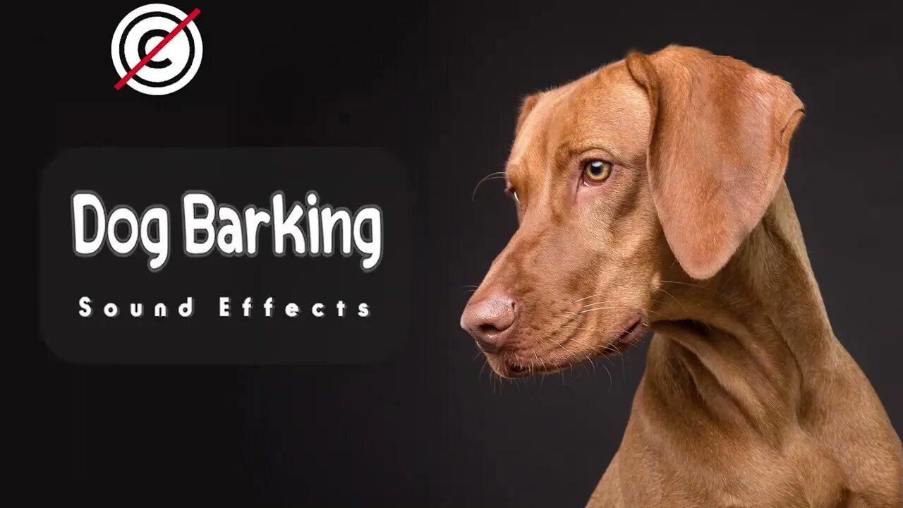 Dog Barking sound effect no copyright dog barking noise dog sounds HQ