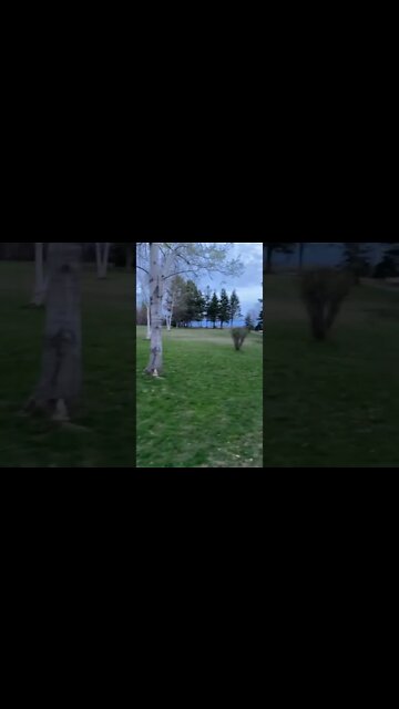 Calm walk in the empty park