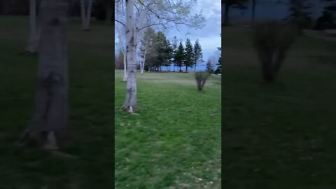 Calm walk in the empty park