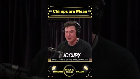 Elon Musk, Chimps are Mean