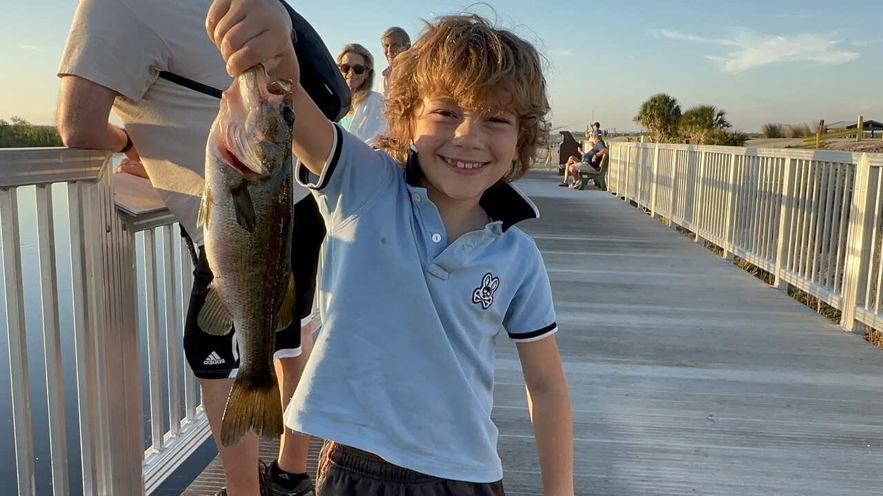 Fishing in Florida: personal, best snakehead gets snatched by a gator