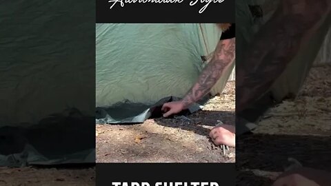 Adirondack Shelter | #shorts #outdoors #survival