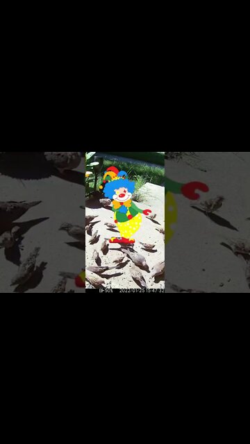 Biden Visits #Shorts 😂