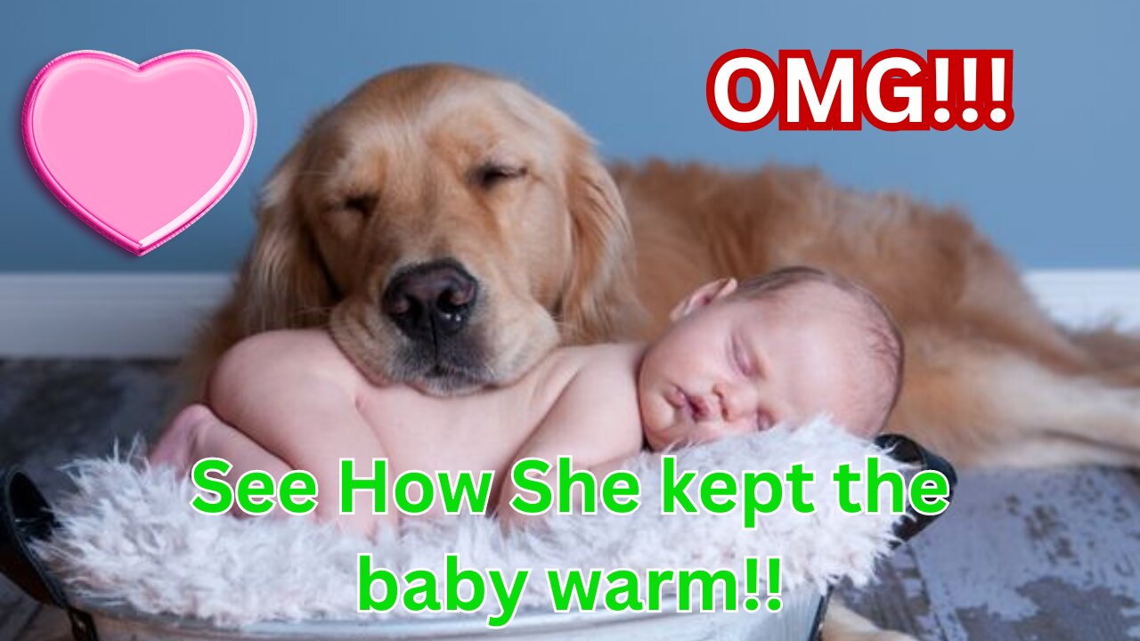 OMG: See How She just gave the baby warmth | Love | Pets | Babies