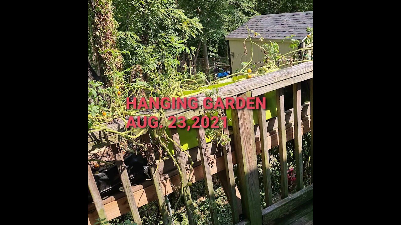 Hanging GARDEN AUG. 23,2021