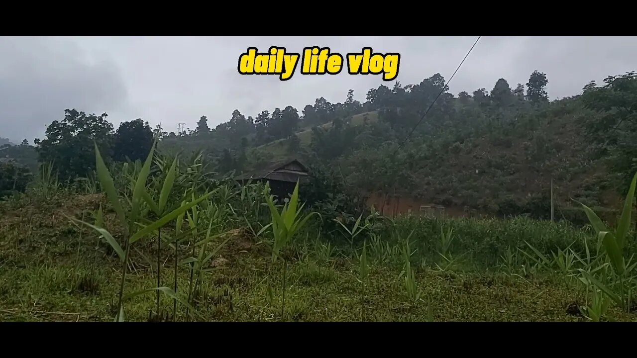 Rainy day is so bad | daily life vlog