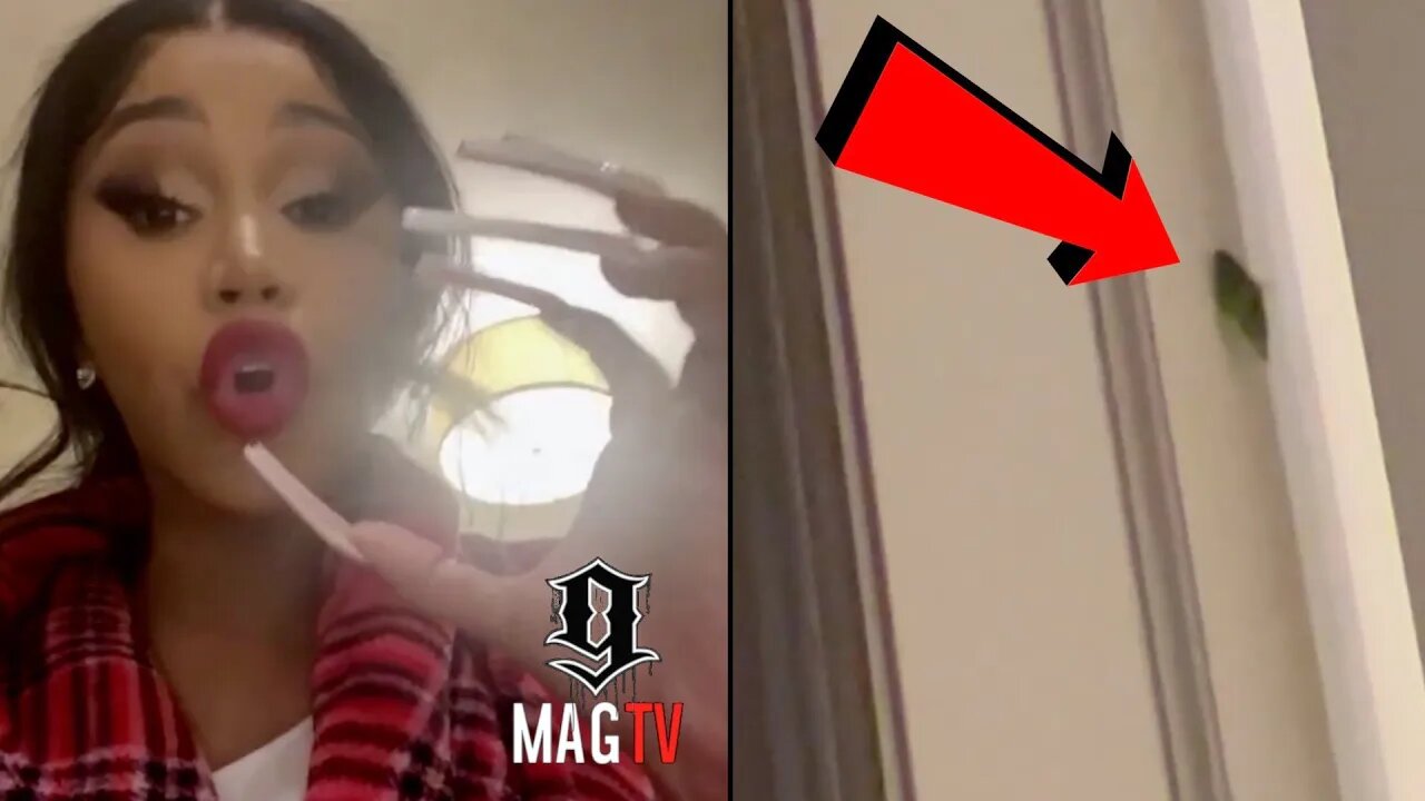 Cardi B Discovers Grasshopper In Her Mansion & Claims It's A Sign Of Hope! 🐛