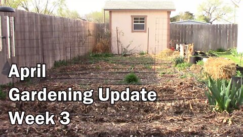 April Gardening Update For Week 3 - Lots Going On