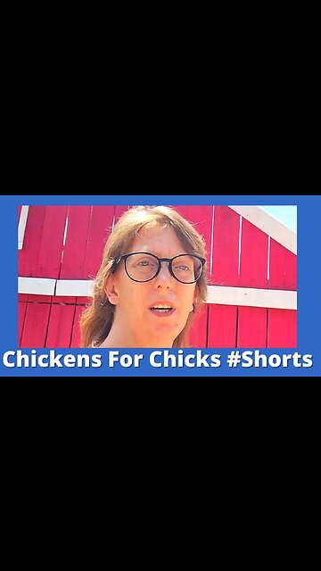 Cold Weather In The Chicken House #Shorts