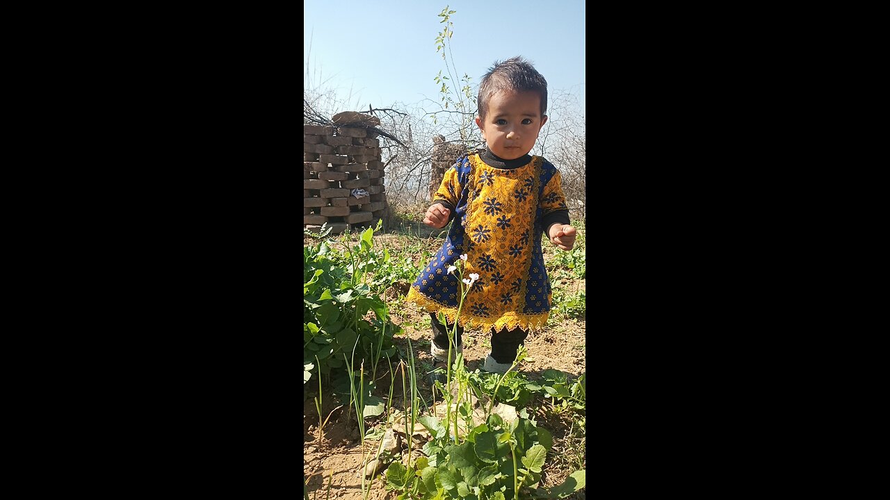 Zuraisha Raees