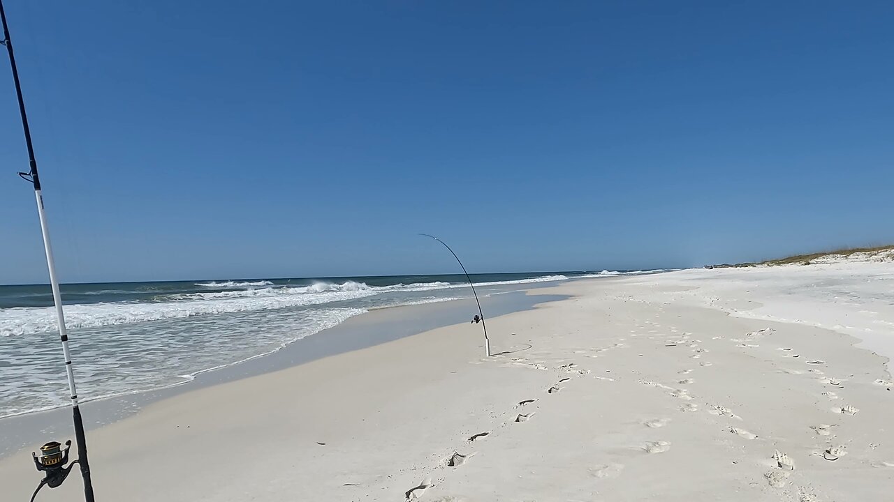 Spring Break Fishing Navarre Beach