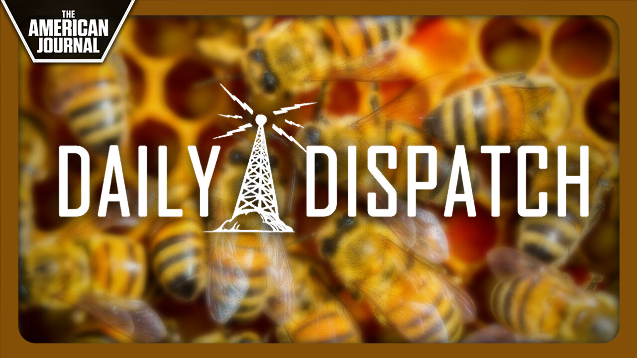 Now They’re Vaccinating Honeybees, What Could Possibly Go Wrong?