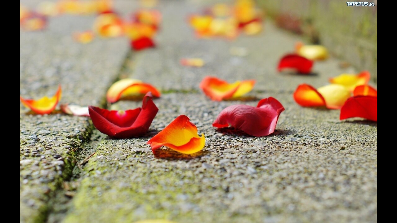 Próba Miłości - Rozważania Mistrzów