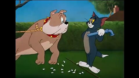 #Cartoon Tom # funny cartoon