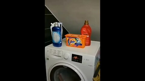 Waltz of the Washing Machine Flowers