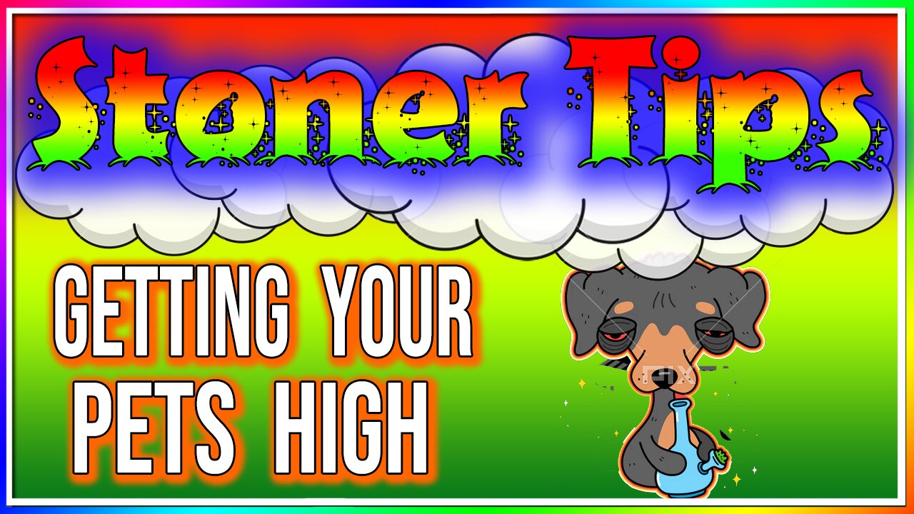 STONER TIPS #53: GETTING YOUR PETS HIGH (Is It Okay?)