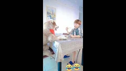 🤣🤣🤣