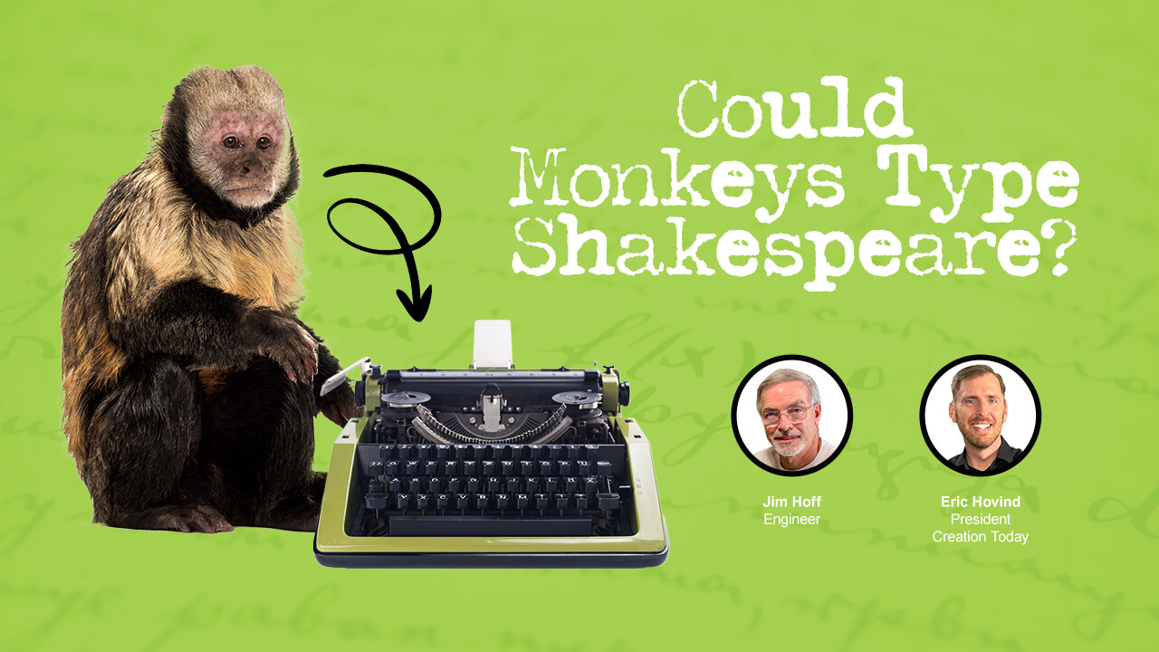 Could Monkeys Type Shakespeare? | Eric Hovind & Jim Hoff | Creation Today Show #375