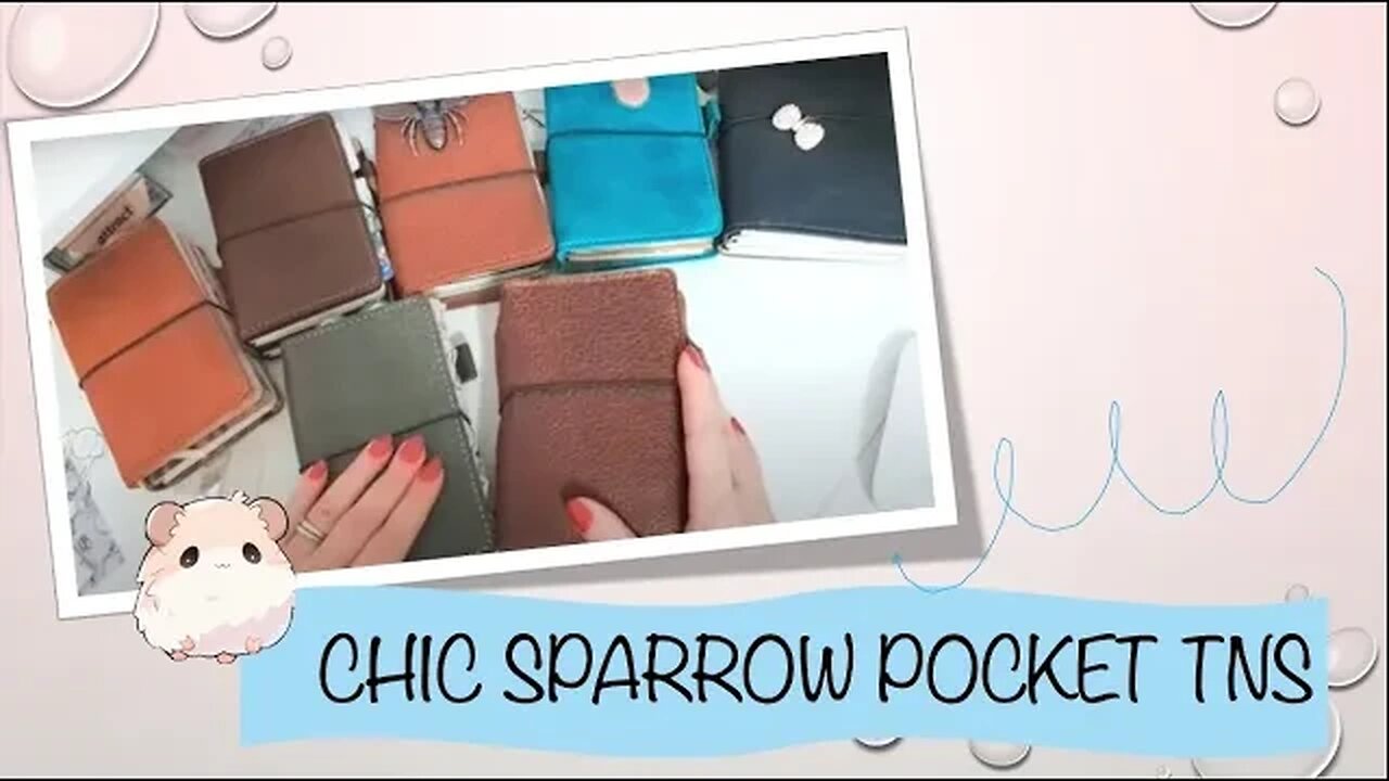 Chic Sparrow Pocket TNs