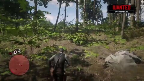 Red Dead Redemption Live Gameplay 3
