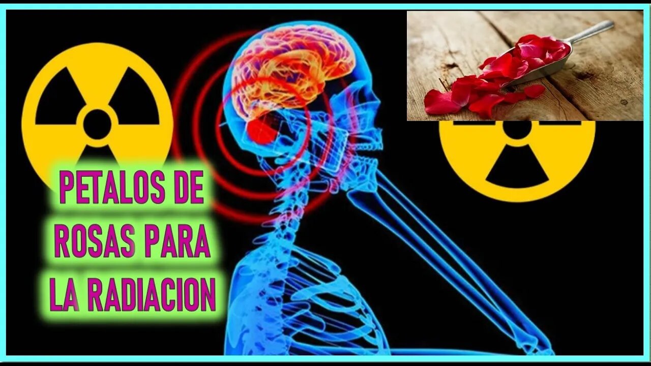 MENSAJE DE SAN MIGUEL ARCANGEL A LORENA - PETALOS DE ROSAS CONTRA LA RADIACION