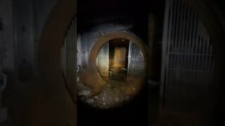 Abandoned Bank in Chicago