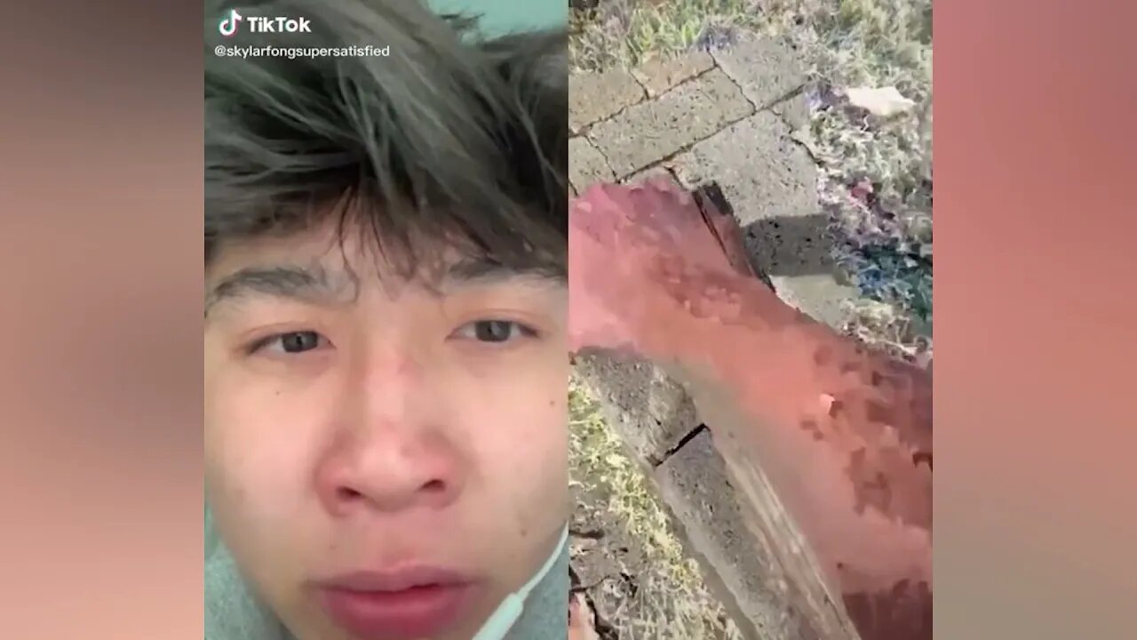 Daisy Daisy creepy TikTok trend PART 208 (2+ HOURS)