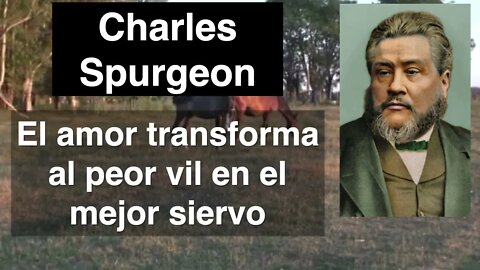 1 Corintios 1,28. Devocional de hoy. Charles Spurgeon en español.