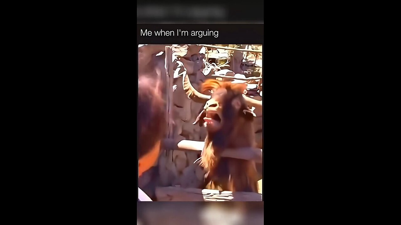 funny animal's 🤣🤣🤣🤣🤣💯
