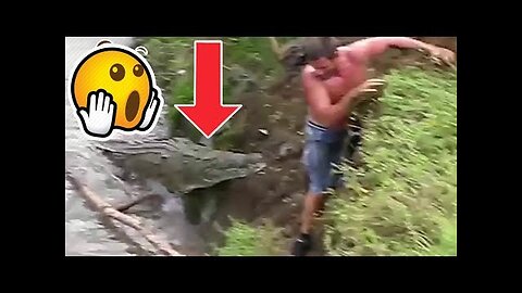🔴Amazing WILD Animal Encounters