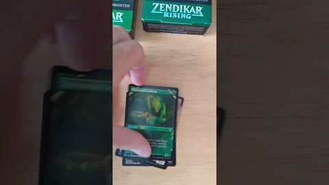 BigTCGFan Zendikar Rising Expedition hunting.