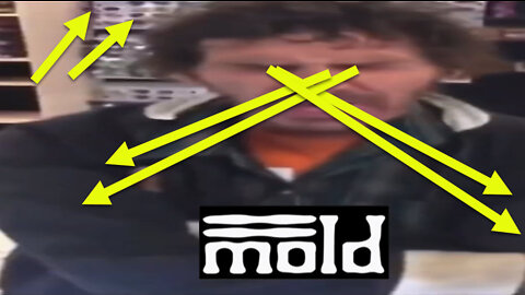 Evidence of “the” MOLD ABSORPTION - 0016