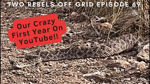 Why We Started Our Homestead Channel In 2022
