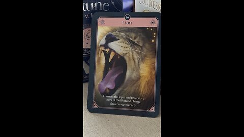 Let out your powerful roar! #tarot #tarotary #message #oraclecard #fortuneoracle #sharinastar