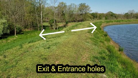 My next pond dam repair on the list. Let's take a look