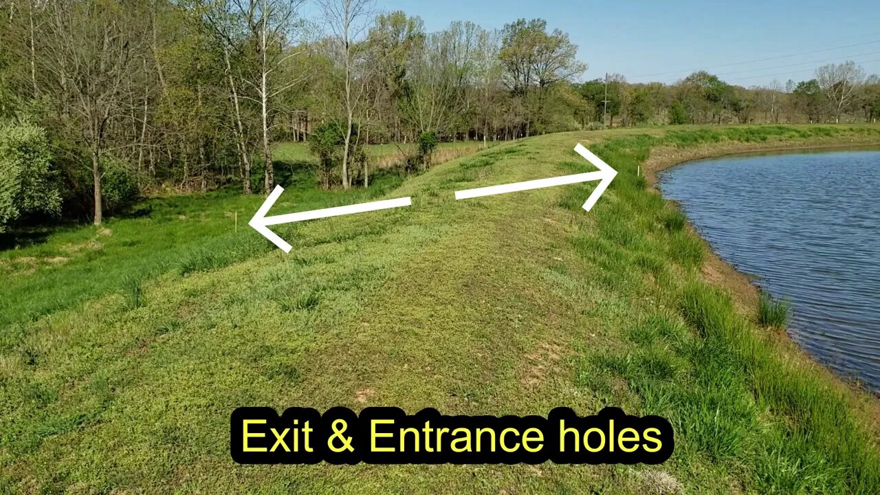 My next pond dam repair on the list. Let's take a look