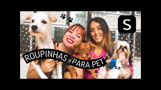 COMPRINHAS NA SHEIN para PETs *fiz surpresa pra minha irmã