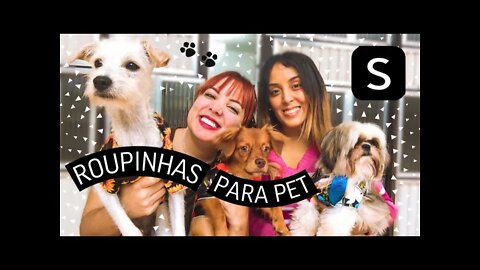 COMPRINHAS NA SHEIN para PETs *fiz surpresa pra minha irmã