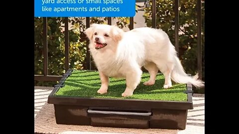 Amazon Dog Reusable Potty Tray