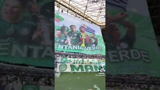 Mosaicos do Palmeiras zuando o Flamengo no Allianz Parque