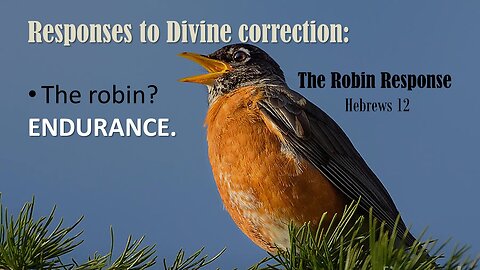 Robin Response Part 3, Pastor Hansen, 6-11-23