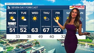 7 Day Forecast