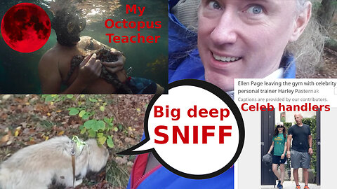 Movie tip: My Octopus Teacher. Blood moon election. Celeb handlers. Facts are facts? November God