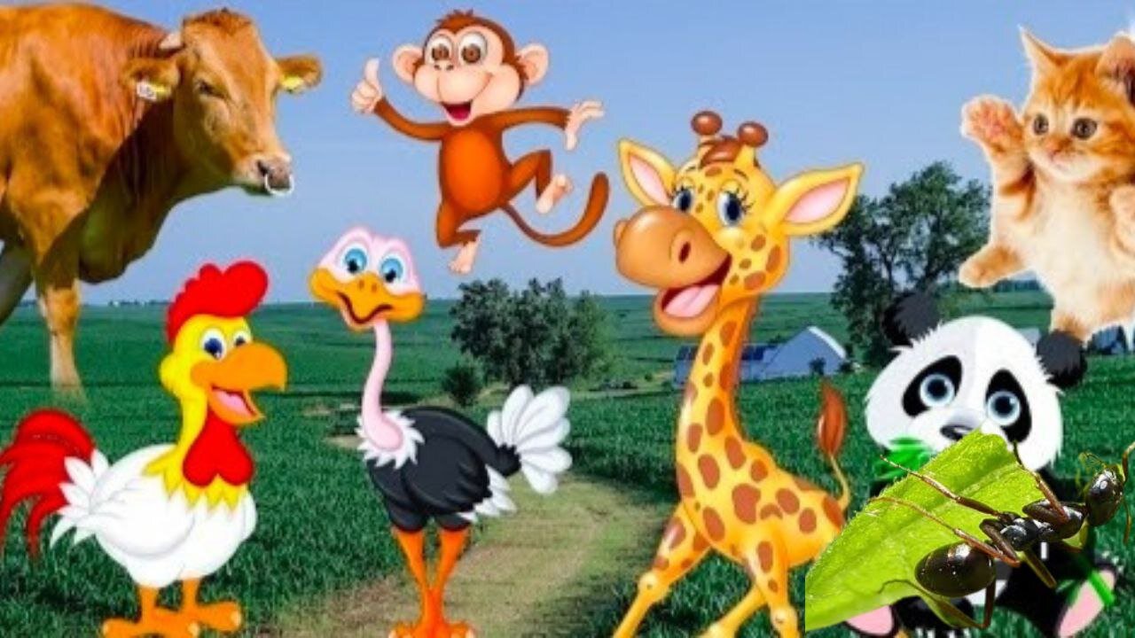 Pelajari kesenangan hewan - sapi , kuda ,kucing - momen kehidupan hewan yang ada di bumi