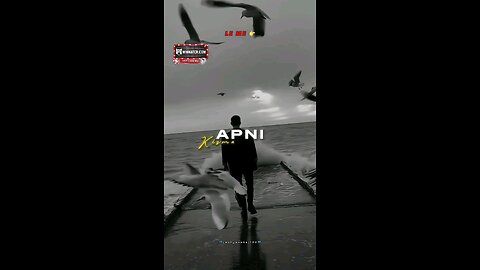 whatsapp status #viral