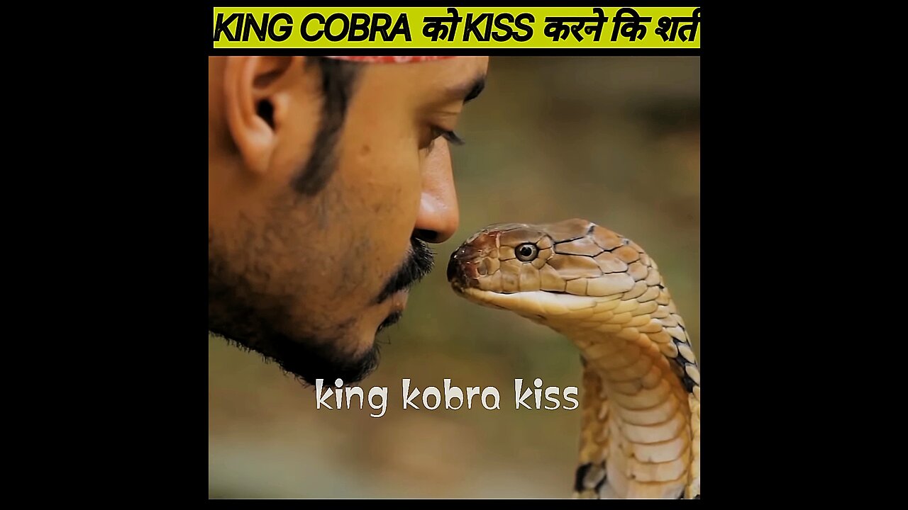 King Kobra dangerous kiss