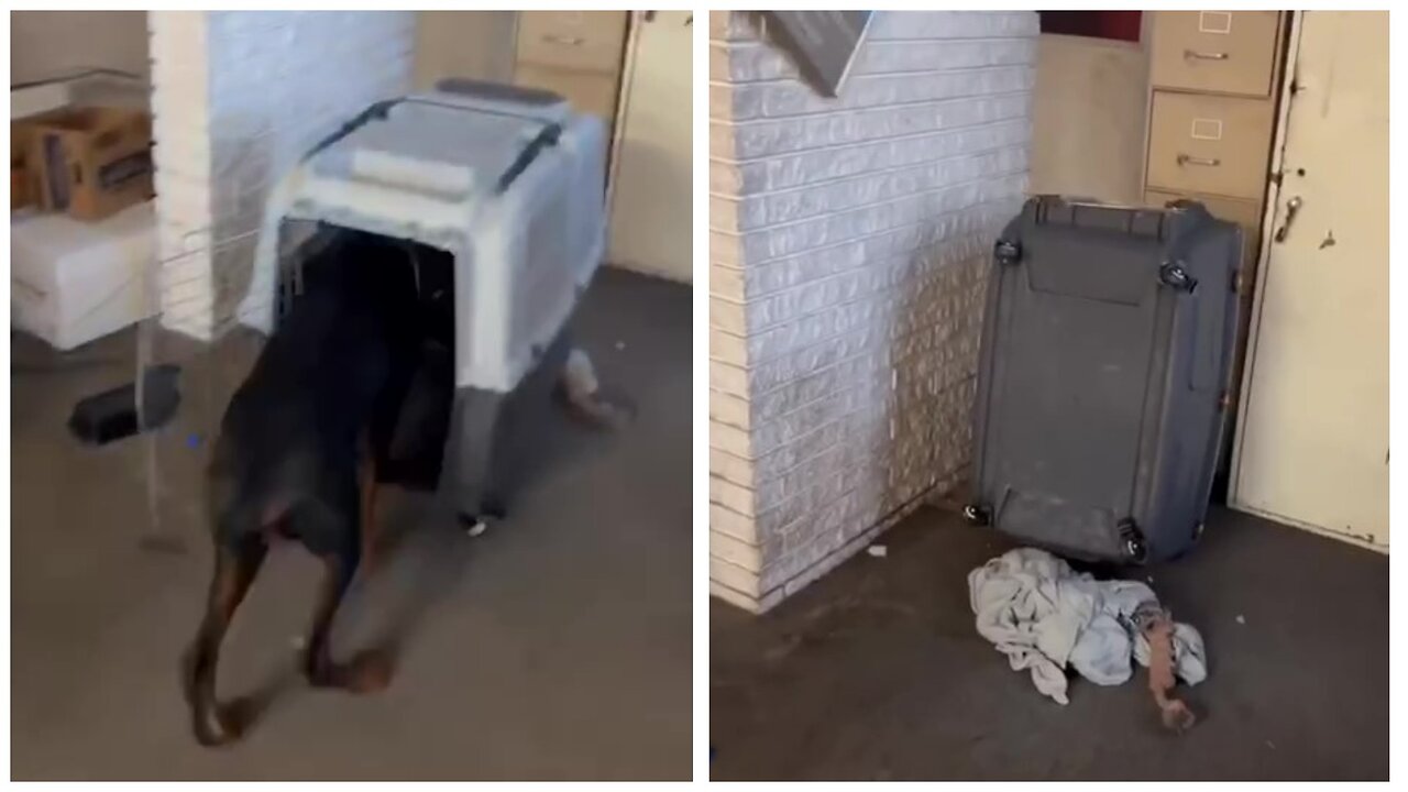 When I found out that friends with children would come to the owners