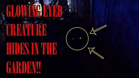 Creature With Glowing Orange Eyes! Kayleigh's Most Terrifying Encounter Yet!!