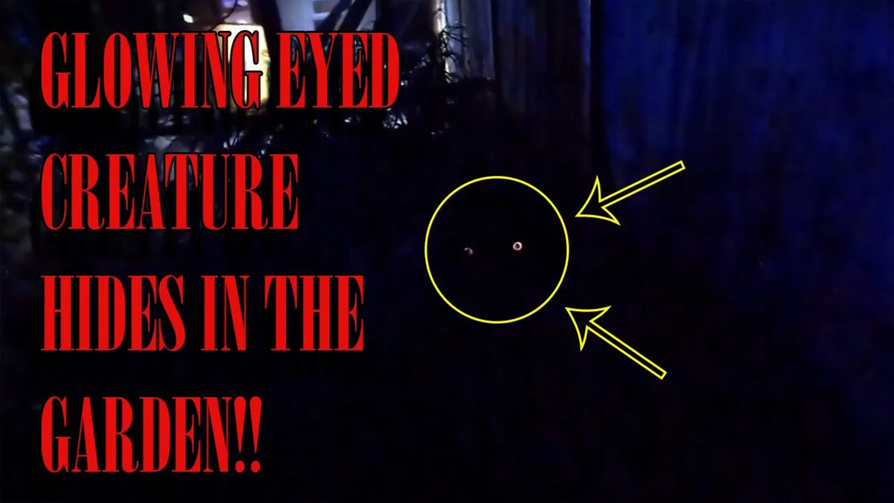 Creature With Glowing Orange Eyes! Kayleigh's Most Terrifying Encounter Yet!!